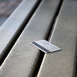 Terrier card on a bench