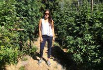 Rosie Mattio at a cannabis farm in California