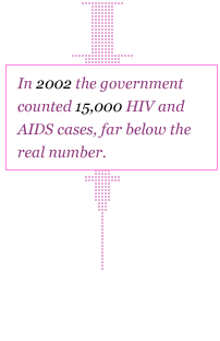 In 2002 the government counted 15,000 HIV and AIDS cases, far below the real number