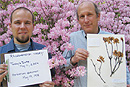 Richard Primack (right), a CAS professor of biology, and graduate student Abraham Miller-Rushing (GRS08) have found that plants in Bostons Arnold Arboretum are flowering eight days earlier on average than they did a century ago. The earlier bloom times closely parallel the rise in Bostons average annual temperature  about three degrees Fahrenheit  over the same time period. Primack holds an herbarium specimen collected from the azalea behind him at its peak bloom on May 18, 1938. The same azalea flowered eight days earlier this past May. Photo by Anica Miller-Rushing