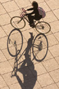 Big wheels. As viewed from atop the School of Theology building, a cyclist in the early morning sun on October 26 casts a long shadow on Marsh Plaza.Photo by Kalman Zabarsky