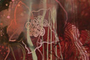 Detail of Untitled, Rachel Hellmann (CFA05), oil on canvas, 2004.