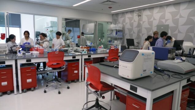 Exploring Biomedical Engineering