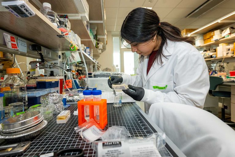 Student working in lab, photo by Cydney Scott