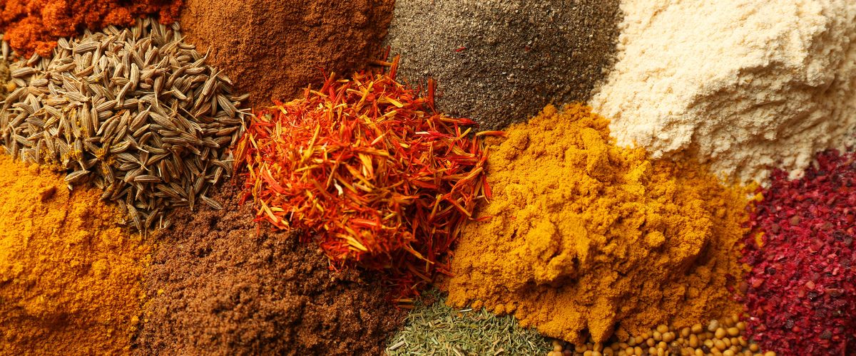 Food Studies at Boston University