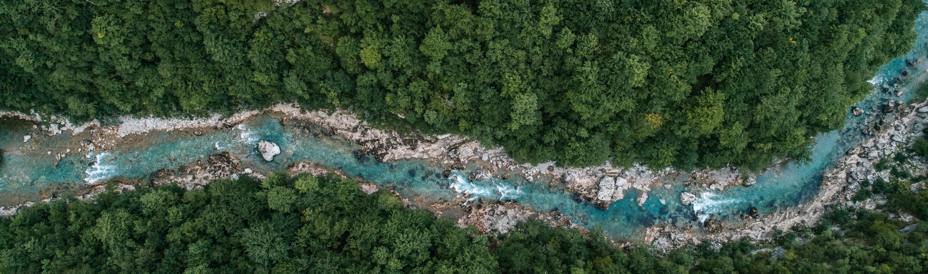 River flowing in the forest. Aerial view