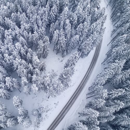 Snowy roads and trees