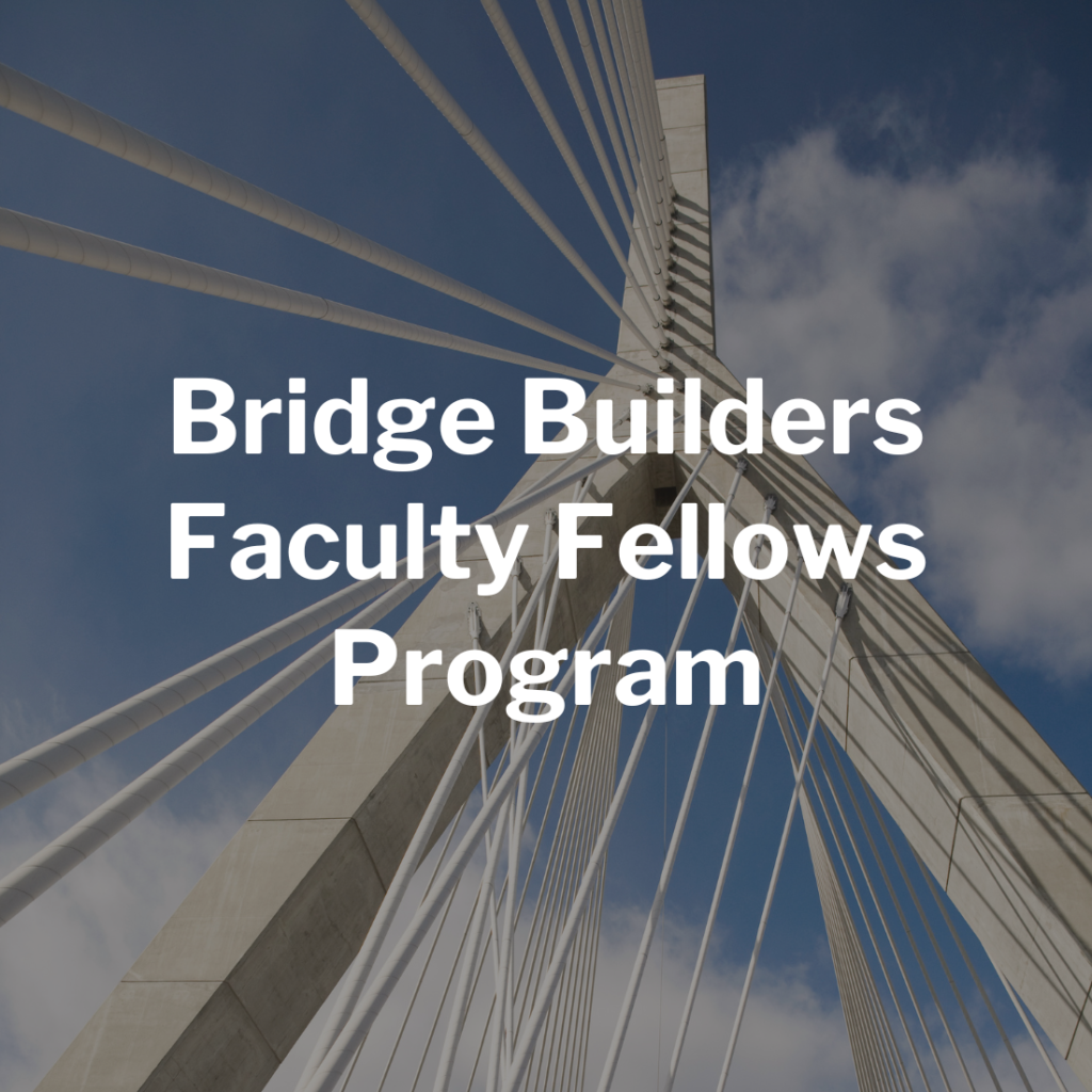 Bridge Builders Faculty Fellows Program