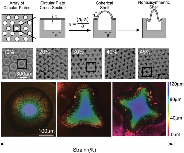 Crumpled Surface Structures