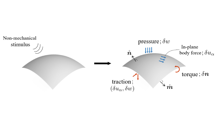 Stimuli-Responsive Shell Theory