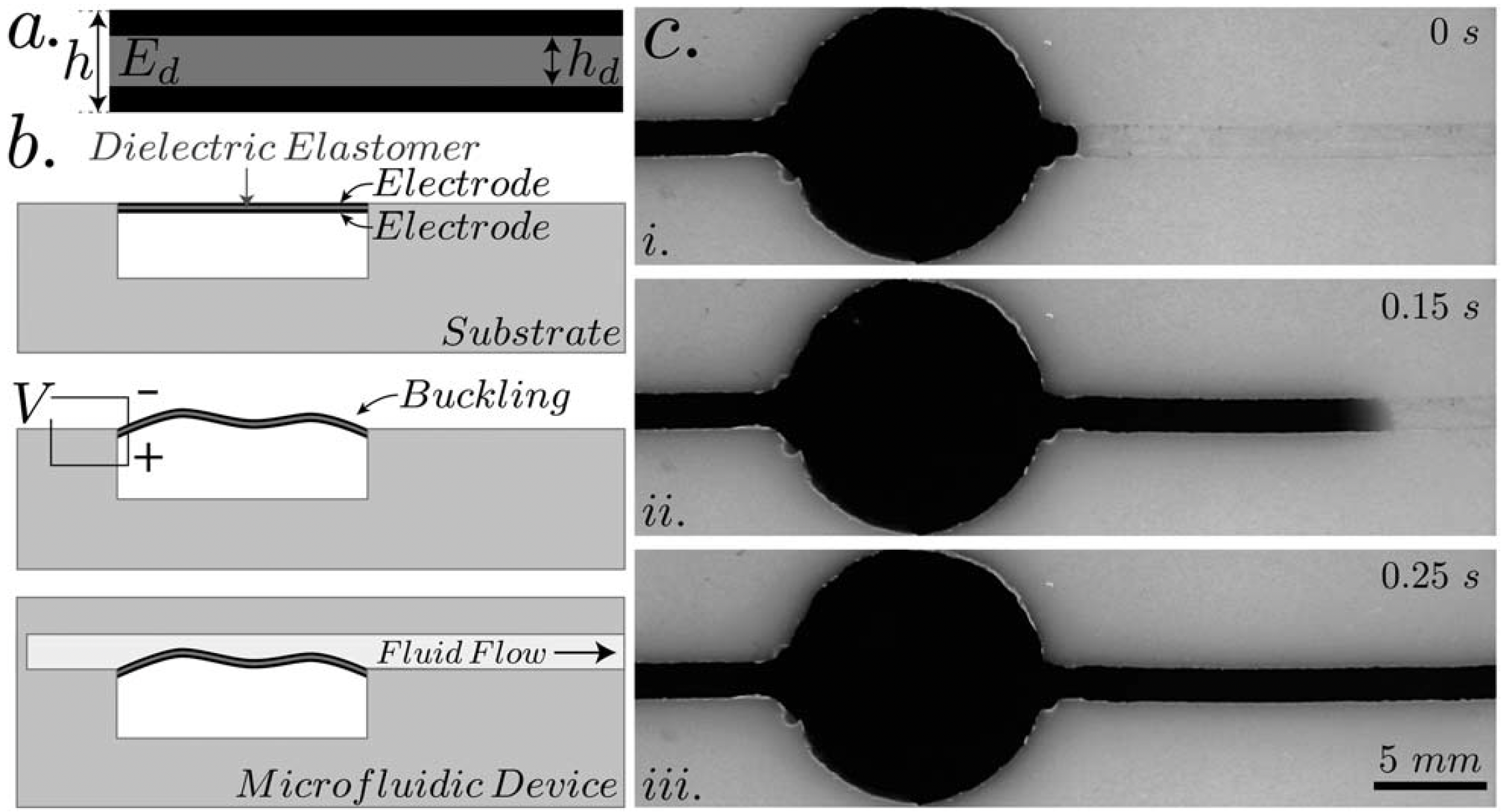 Dielectric Buckling Flow