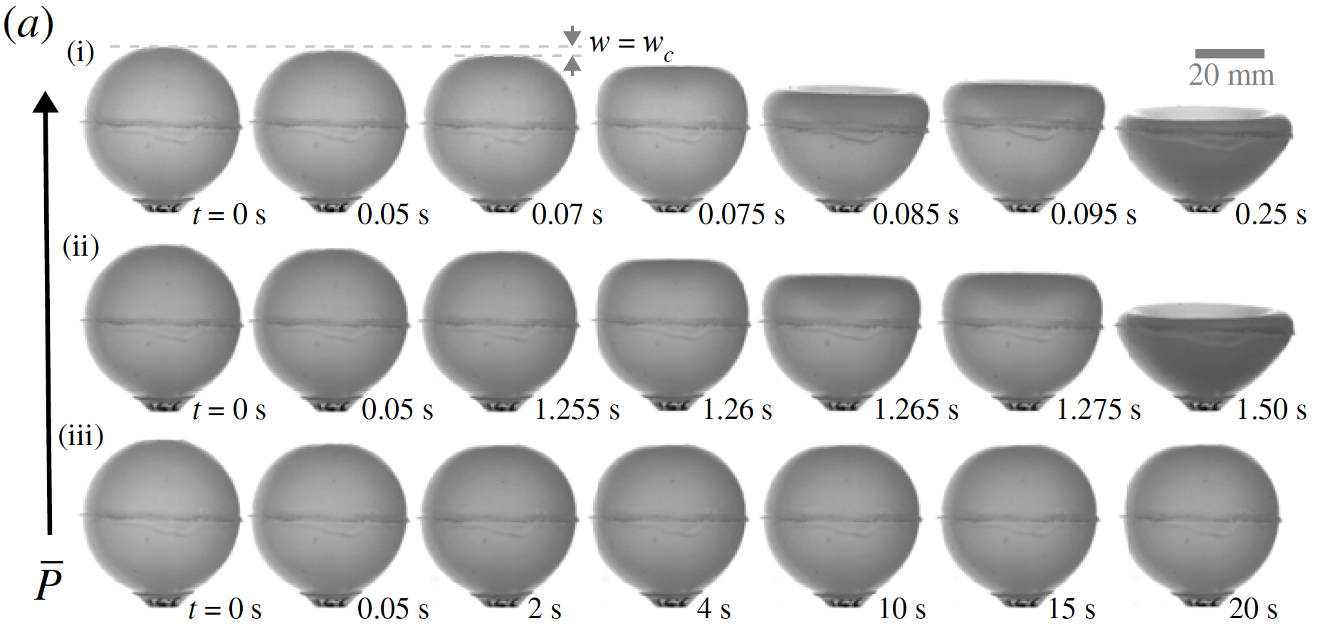 Viscoelastic Shell Buckling