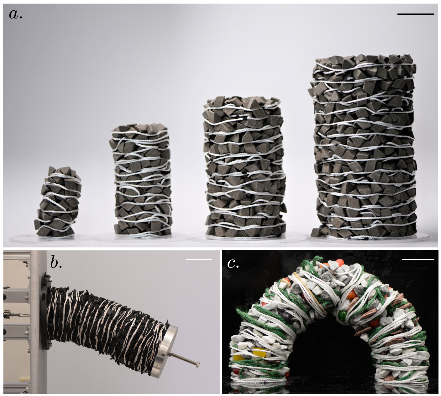 Elastogranular Columns and Beams