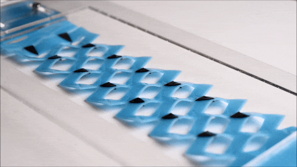 Multistable Kirigami