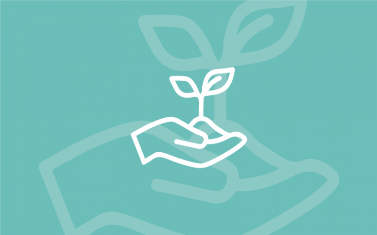 hand holding seedling plant icon on teal background