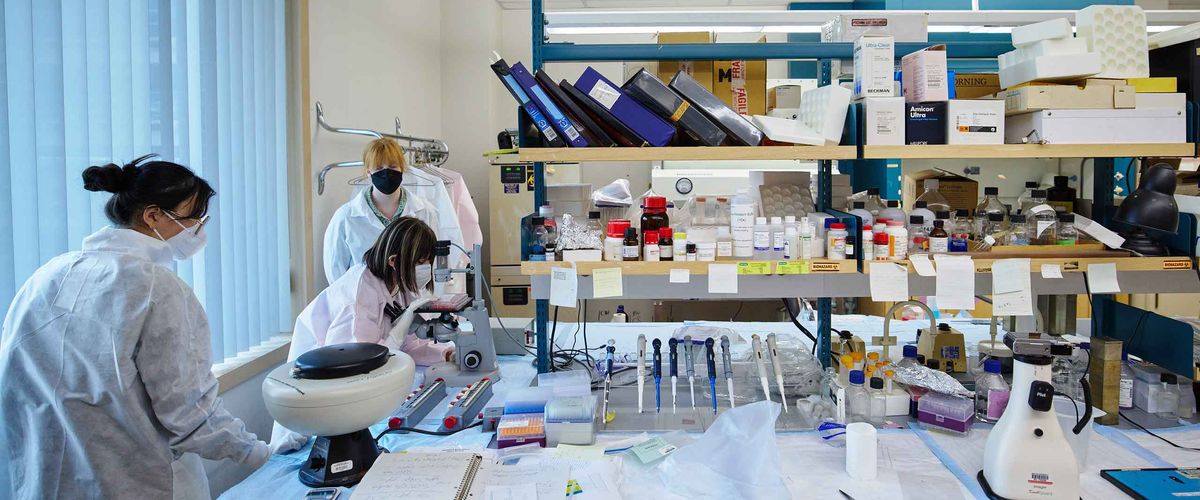 Chemistry students in the lab at Boston University