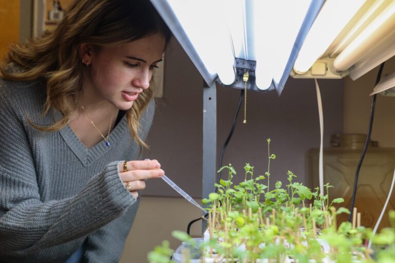 Student attending to plants in research lab