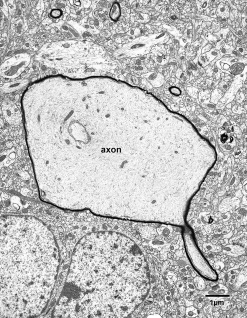 4_5_AM27a17#94text 4_5_AM27a17#94text