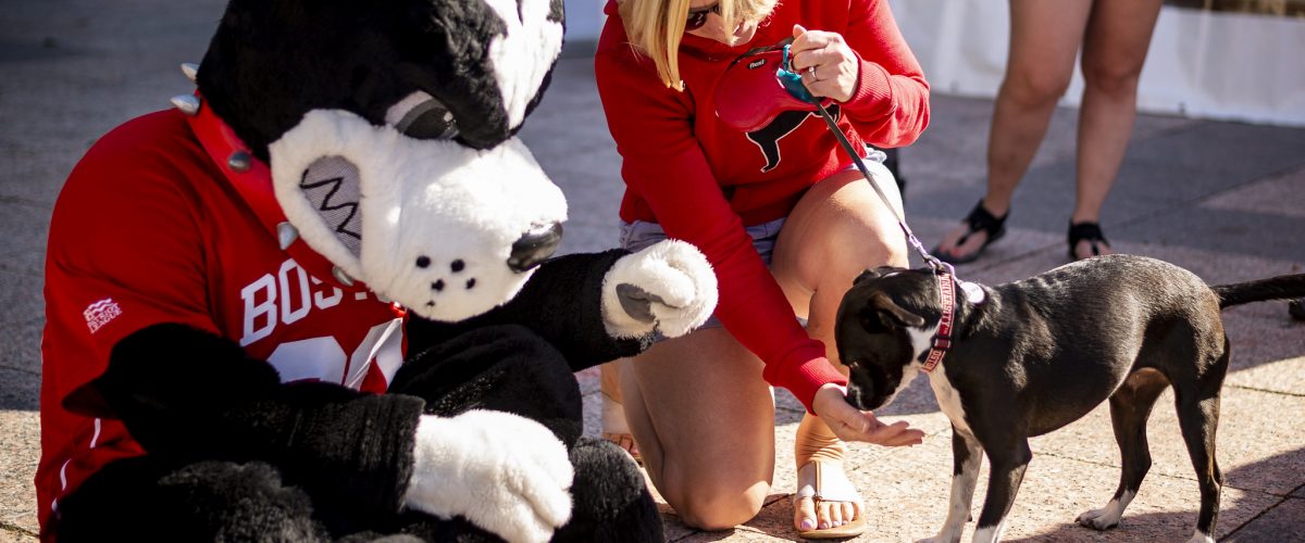 Red Sox mascots Wally and Tessie to skate with fans on Boston