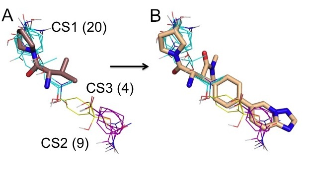 Fig. 3. Hit to lead extension for DPPIV