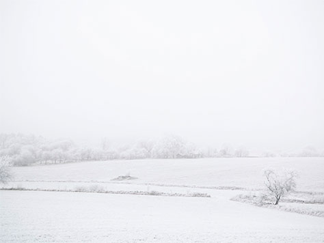 Snow Covered Landscape