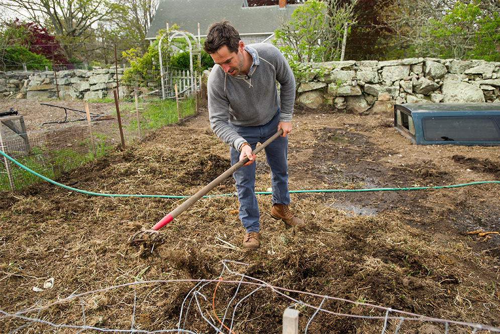 Chef Chris Fischer tilling seaweed in the pig pen at Beetlebung Farm