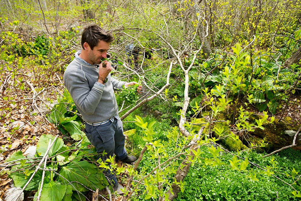 Chef Chris Fischer forages wild watercress near Beetlebung Farm in Chilmark, Massachusetts