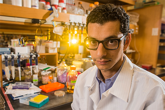 Ahmad “Mo” Khalil, Assistsant Professor of Biomedical Engineering, Boston University