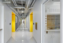 View of a lab in the Rajen Kilachand Center for Integrated Life Sciences and Engineering science building at Boston University