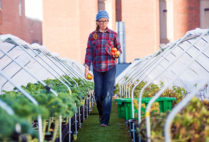 Boston Medical Center’s cultivated rooftop feeds patients with homegrown produce