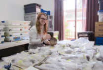 Student researcher Elizabeth Hannigan working with archaeological artifacts found in the Maya city of Xultún