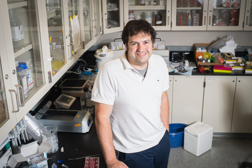 Michael Albro, an assistant professor at the College of Engineering, is working to develop innovative growth factor delivery strategies to overcome several of the major challenges in cartilage tissue engineering.