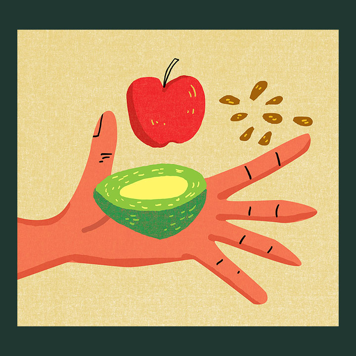 illustration of a human hand holding a red apple, half of a green avocado, and some brown seeds.