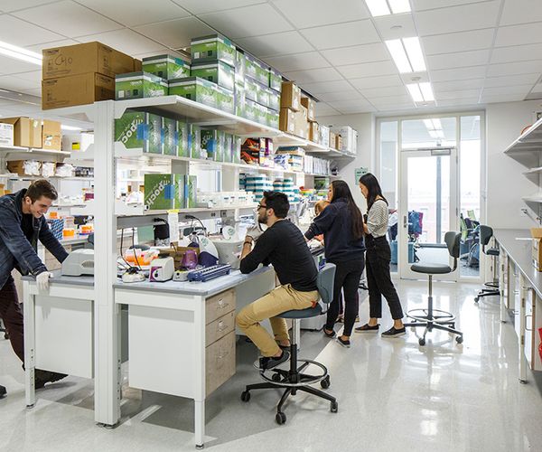 Photo of students bioinformatics