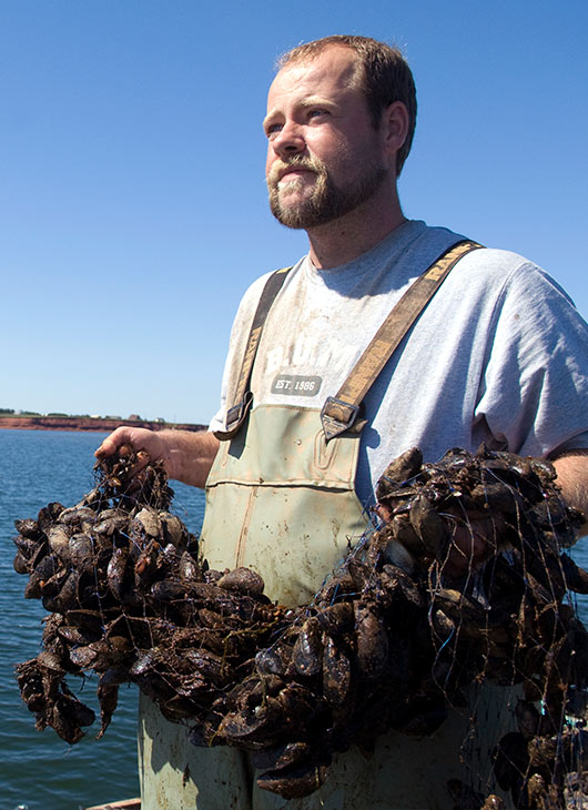 Prince Edward Aqua Farms