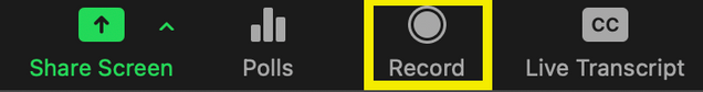 Record Button in Zoom