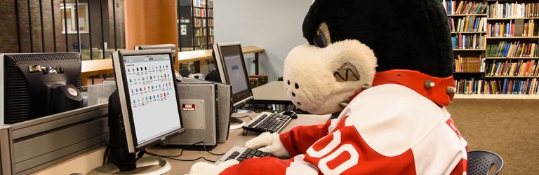 Rhett Using a Computer at the Library