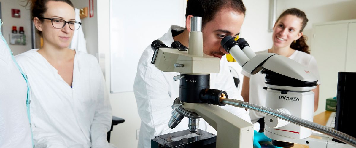 BME Research