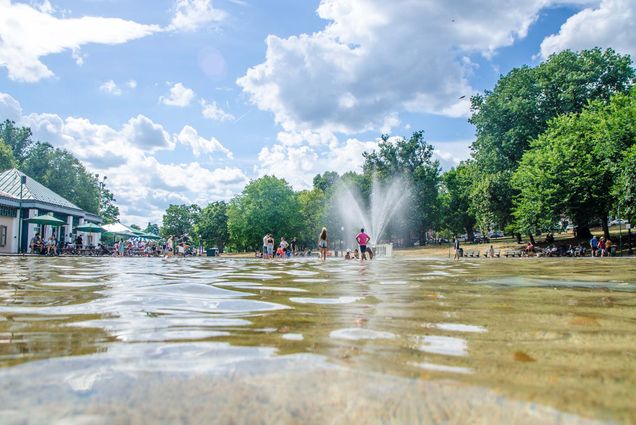 Boston Common frog pond