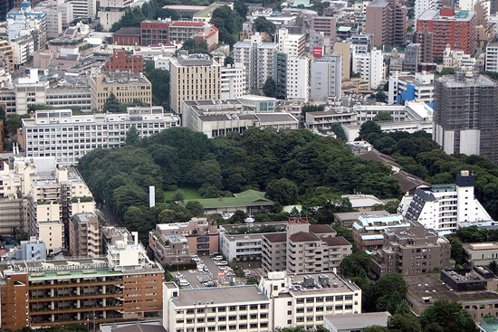Keio_University_Tokyo_Tower_h.jpg