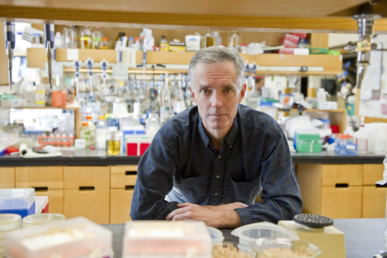 Boston University Synthetic Biology research and engineering, Professor James Collins, Collins Lab