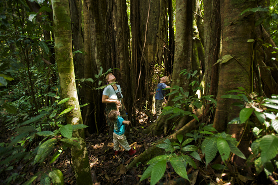 Cheryl Knott with daughter Jessica and son Russell, Gunung Palung National Park, Borneo, Indonesia, wild orangutan research