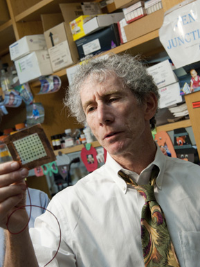 David Sherr David Sherr, Boston University School of Medicine, breast cancer research AhR
