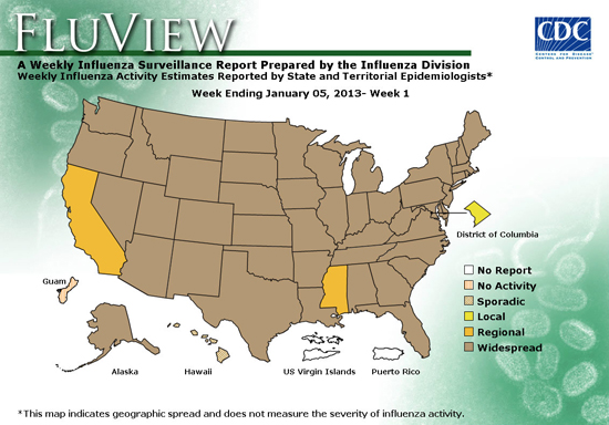 CDC FluView Influenza Surveillance Report, Week Ending January 5, 2013