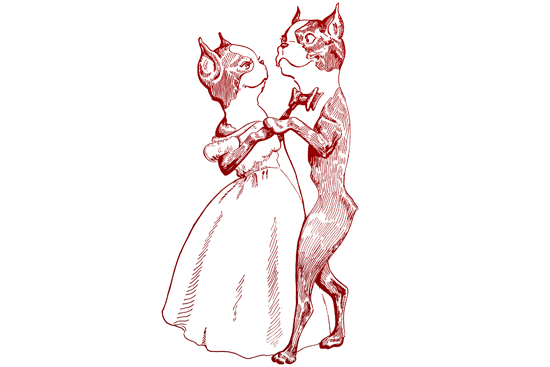 Boston University BU, couples, marriages made at BU, Valentine's Day