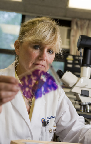 Boston University Center for the Study of Traumatic Encephalopathy CSTE, Ann McKee, chronic traumatic encephalopathy, CTE, brain research, neurological research, football head trauma, athletics head trauma, hockey head trauma