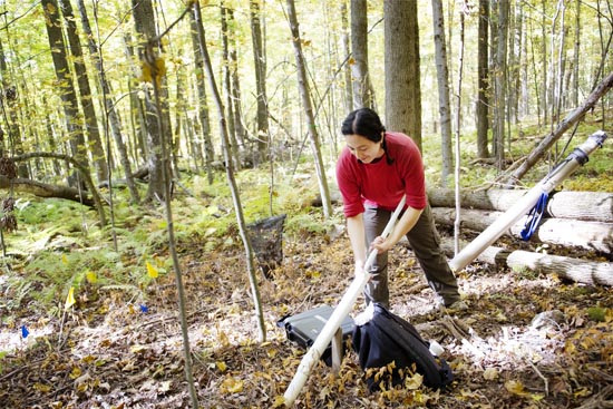 Once a month, Abramoff hikes into 3,500 acres of protected forest in Central Massachusetts, to study the relationship between climate change and the life cycle of plants. To understand roots and carbon uptake during their development and turnover, she uses a mini-rhizotron camera. Buried among the roots in a six-foot-long transparent plastic tube, the camera is capable of snapping 20,000 images per day to create a downloadable time-lapse video of root growth.