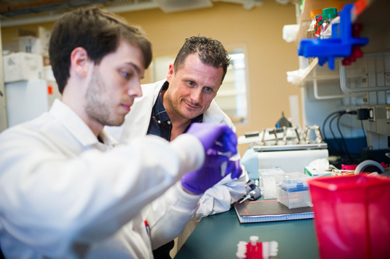 Paul Duprex works with research technician Andrew Acciardo inside the NEIDL virology lab. Photo by Jackie Ricciardi