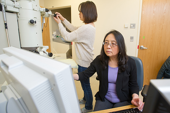 Haiyan Gong working at the electronic microscope with research fellow Lihua Lilian Gong. Photo by Cydney Scott