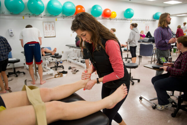 Doctoral Physical Therapy students perform manipulations of the ankle and foot March 28, 2013 in the PT lab at Sargent College